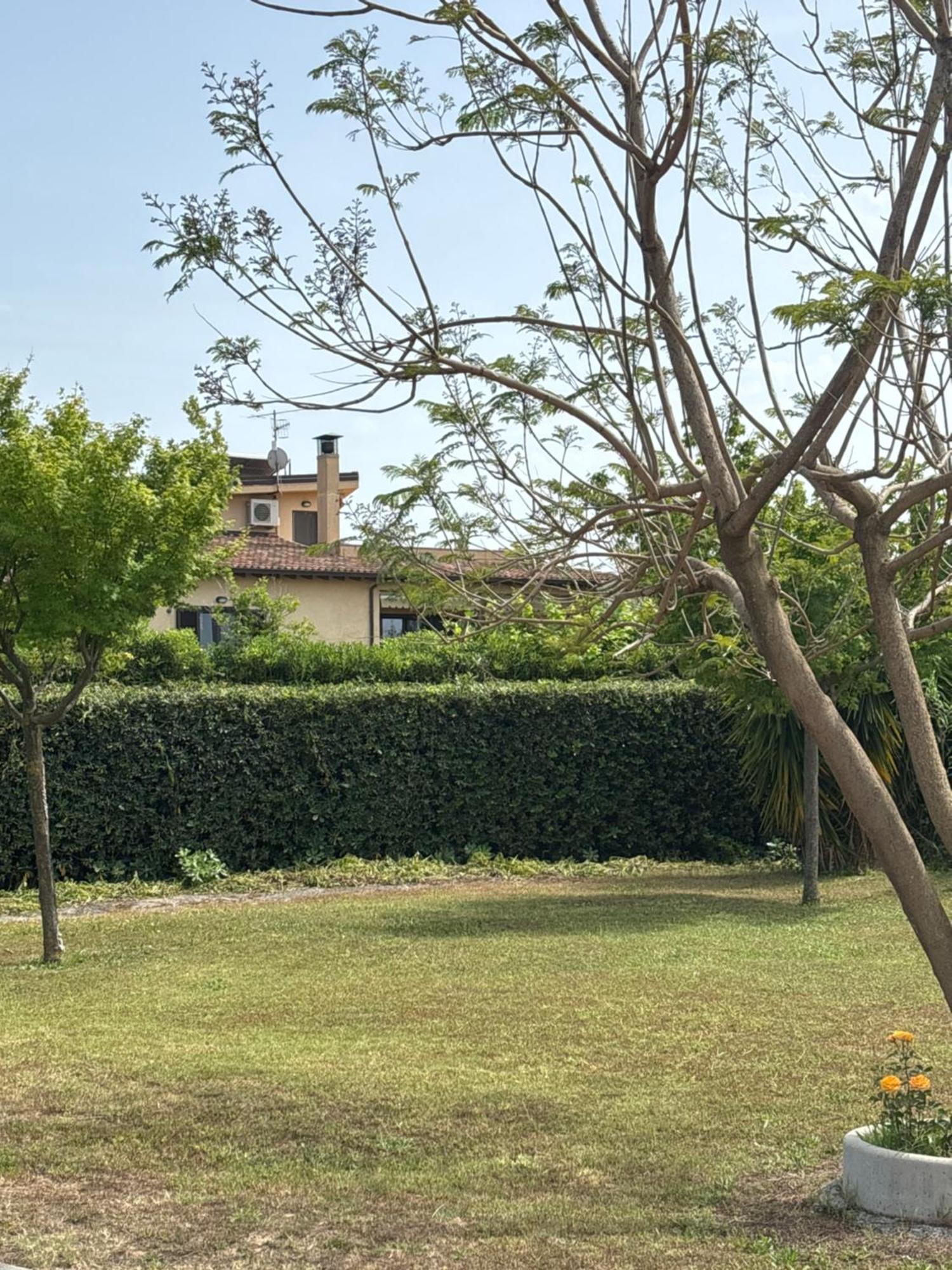 Villa Laregina Grisolia Extérieur photo